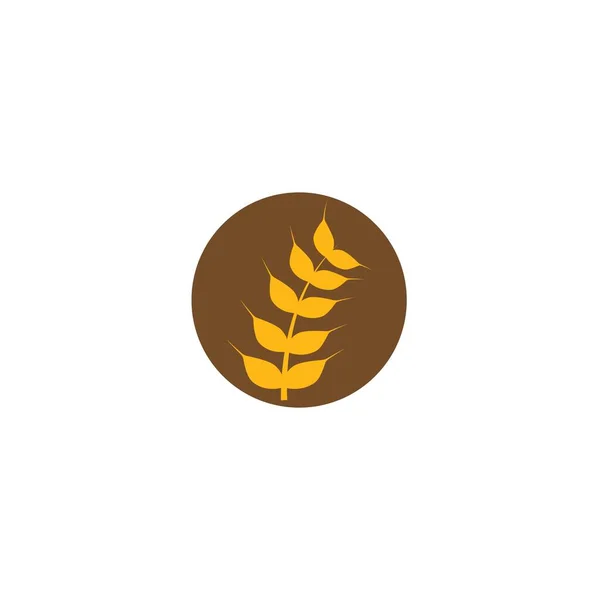 Logo Pszenicy Projekt Symbolu Ilustracji Wektora — Wektor stockowy
