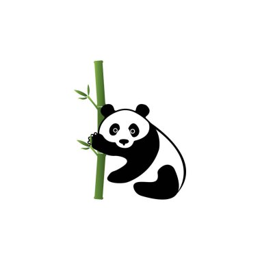 Panda ikonu. Vektör illüstrasyon logo şablonu.