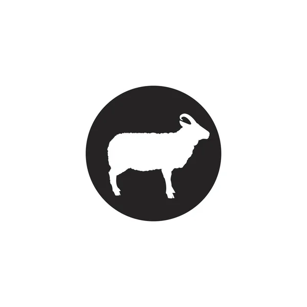 Sheep Icon Vector Illustration Template Design — Stock Vector