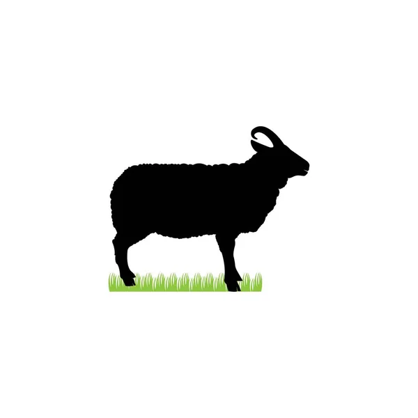 Sheep Icon Vector Illustration Template Design — Stock Vector