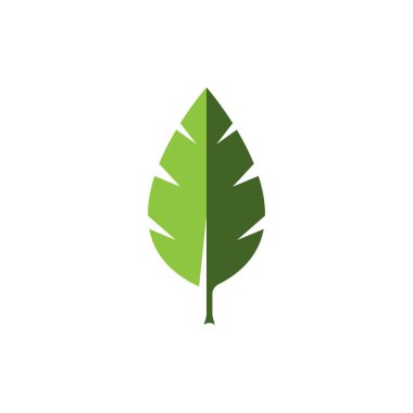 leaf vector icon illustration template design