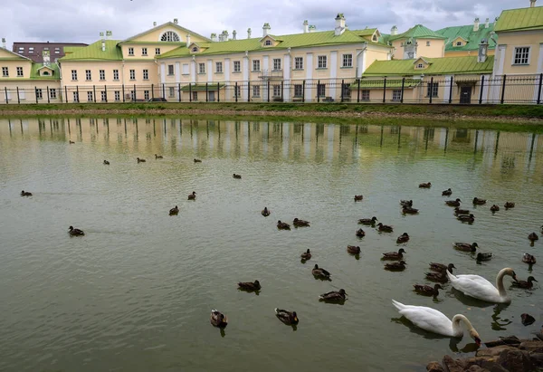 Patos Cisnes White Pond Cerca Refectory Chamber Lavra Hotel Trinity — Foto de Stock