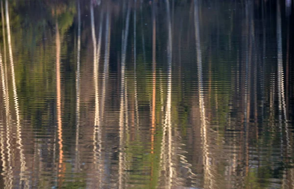 Reflektion Sjön Vatten Höstträd Som Bakgrund — Stockfoto