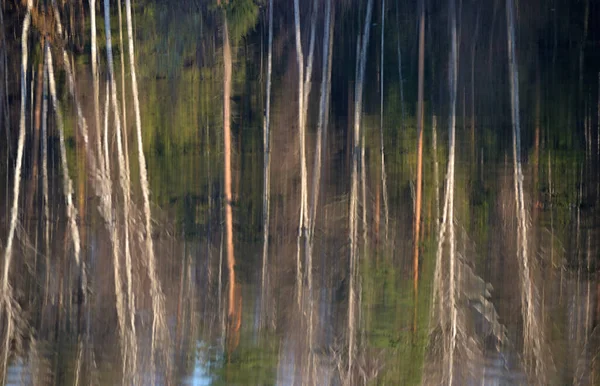 Reflexe Podzimních Stromů Jezeře Jako Pozadí — Stock fotografie