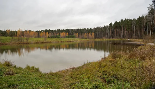 Pond Wooden Bridges Autumn Meshchersky Natural Park Moscow Russia — Stock Photo, Image