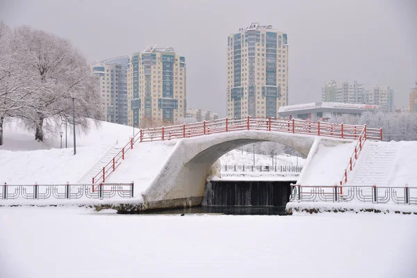 Kışın yoğun kar yağışı sonrasında Olimpiyat Köyü Parkı, Moskova, Rusya