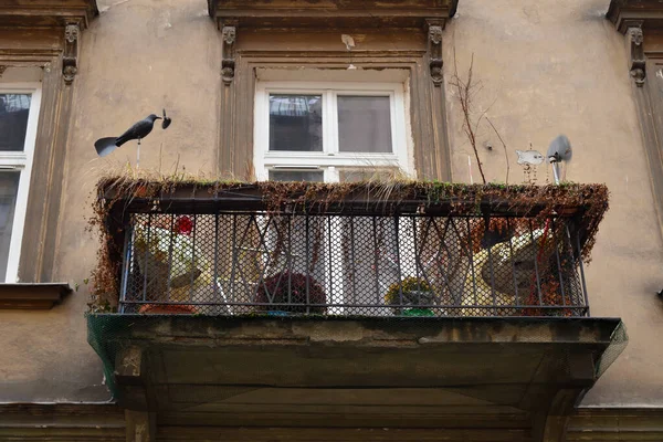 Metal Balcony Withered Plants Old Stone House Poland — Stock fotografie