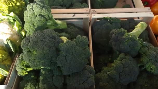 Grugliasco Italia Broccoli Sul Bancone Fruttivendolo Mercato Strada — Video Stock