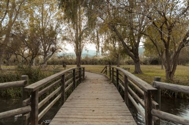 Alqueria del Duc 'taki tahta köprü, Gandia, İspanya