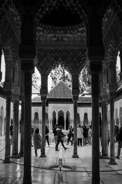 Alhambra, Granada, İspanya 'daki Leones Verandası' nda dikey ve tek renkli resim.