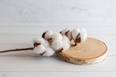 Beyaz ahşap zeminde pamuk dalı. Yakın çekim. Yatay resim 