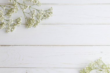 Beyaz ahşap zemindeki küçük bir cam şişenin içinde paniklemiş dallar. Yakın çekim. Yatay resim 
