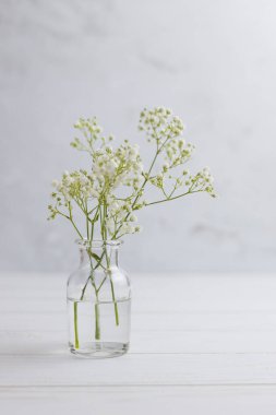 Beyaz ahşap zemindeki küçük bir cam şişenin içinde paniklemiş dallar. Yakın çekim. Dikey resim 