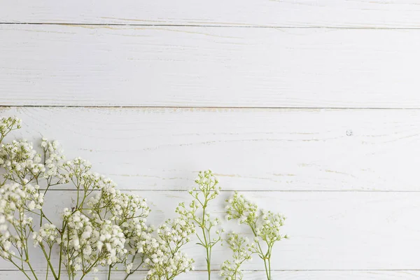 Beyaz ahşap zemindeki küçük bir cam şişenin içinde paniklemiş dallar. Yakın çekim. Yatay resim 