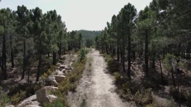 Fuentes de Rubielos, Teruel, Aragn, İspanya 'dan hava görüntüleri.