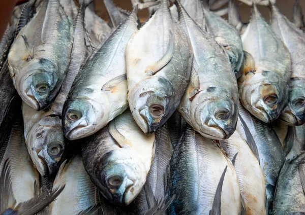 Verse Thaise Tonijn Verkocht Vismarkt Selectieve Focus — Stockfoto