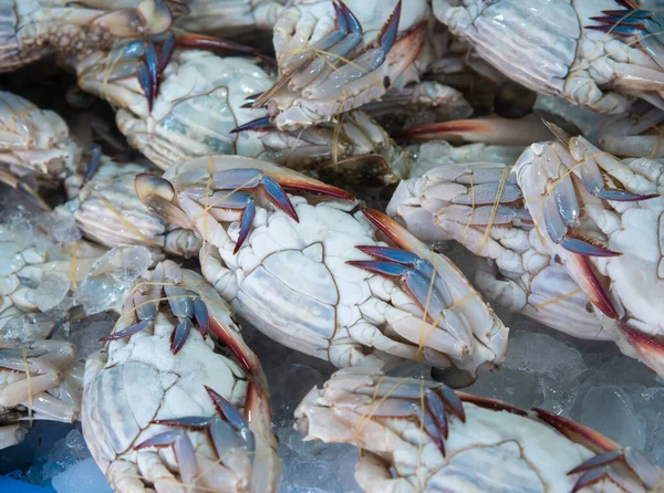 Meeresblaue Krabben Oder Frische Thailändische Krabben Werden Auf Dem Fischmarkt — Stockfoto