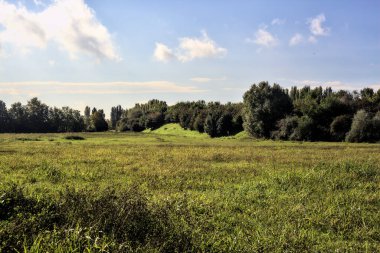 Açık bir günde, uzaktaki ağaçlarla çevrili bir alan
