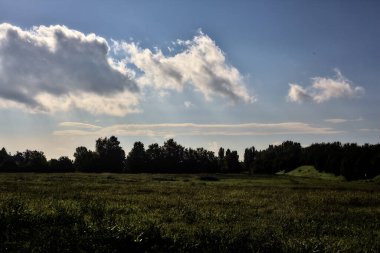 Açık bir günde, uzaktaki ağaçlarla çevrili bir alan