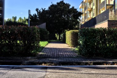 Kırsal kesimdeki binalar arasında ağaçlarla dolu bir geçit.