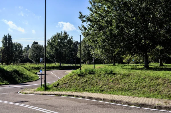 Straße Grenzt Böschung Mit Bäumen Grünen — Stockfoto