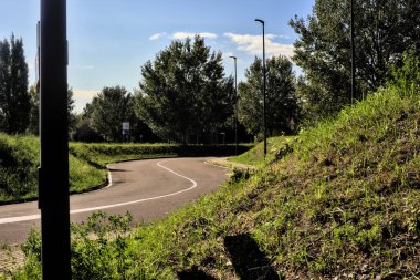 Kırsal kesimde ağaçlarla çevrili bir yol.