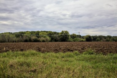 Sonbaharda bulutlu bir günde tarlada elektrik direkleri ve elektrik hatları.