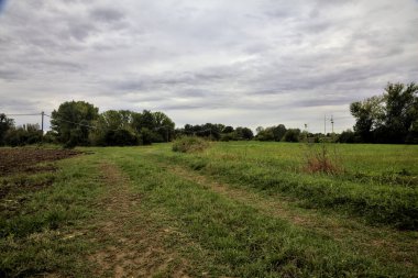 Sonbaharda bulutlu bir günde kırların ortasında çimenli bir patika.