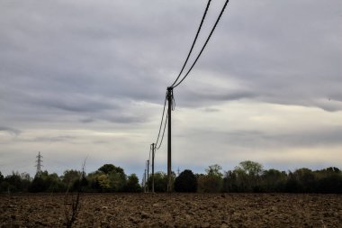 Sonbaharda bulutlu bir günde tarlada elektrik direkleri ve elektrik hatları.