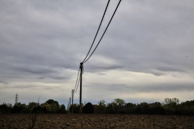 Sonbaharda bulutlu bir günde tarlada elektrik direkleri ve elektrik hatları.