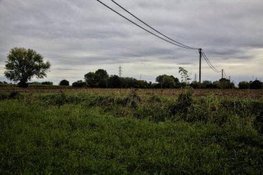 İtalya kırsalında sonbaharda bulutlu bir günde elektrik direkleri ve ağaçlarla dolu bir alan.