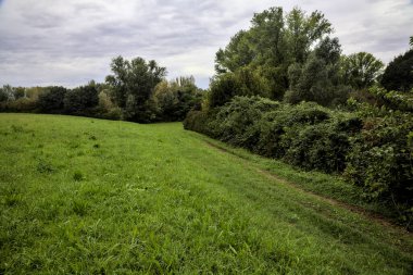 Sonbaharda bulutlu bir günde kırların ortasında çimenli bir patika.