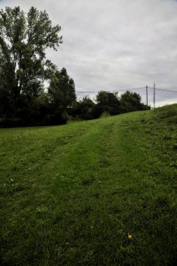 Sonbaharda bulutlu bir günde kırların ortasında çimenli bir patika.
