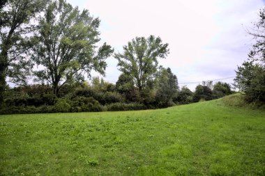 Sonbaharda bulutlu bir günde kırların ortasında çimenli bir patika.