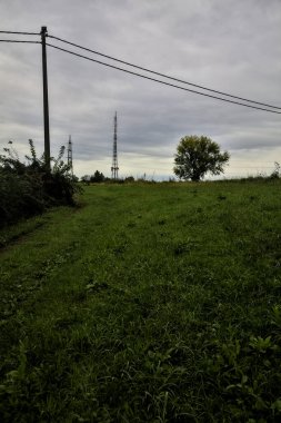 İtalya 'nın kırsal kesimlerinde bulutlu bir günde başlarının üzerinde kablolar olan bir tarlada çimenli bir yol.