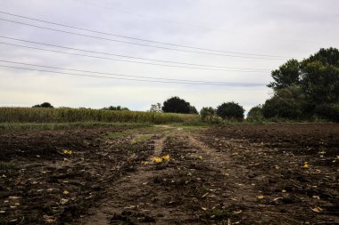 Su birikintisi olan çamurlu bir yol ve üzerine gökyüzü döküldü.