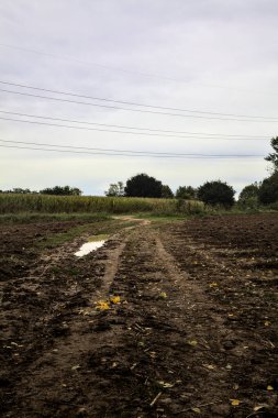 Su birikintisi olan çamurlu bir yol ve üzerine gökyüzü döküldü.