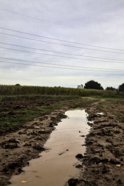 Su birikintisi olan çamurlu bir yol ve üzerine gökyüzü döküldü.