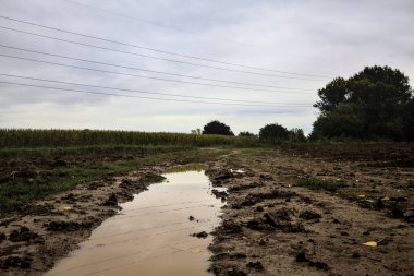 Su birikintisi olan çamurlu bir yol ve üzerine gökyüzü döküldü.