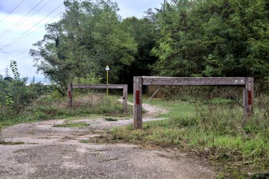 Sonbaharda bulutlu bir günde, bir koruluktaki toprak yolun girişi.