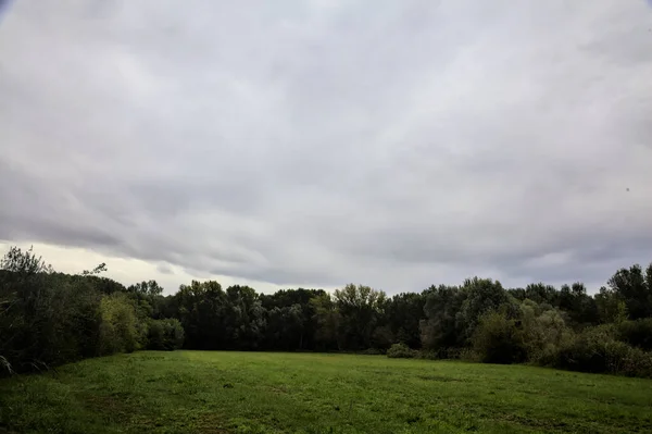 イタリアの田舎の曇り空の日に森とオープンフィールド — ストック写真