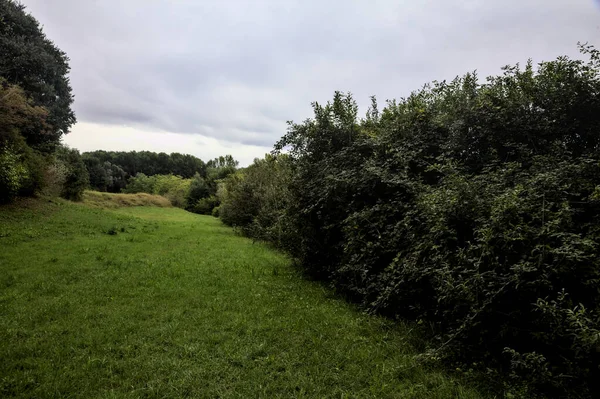 Gräsbevuxen Stig Mitt Åkrarna Landet Mulen Dag Hösten — Stockfoto