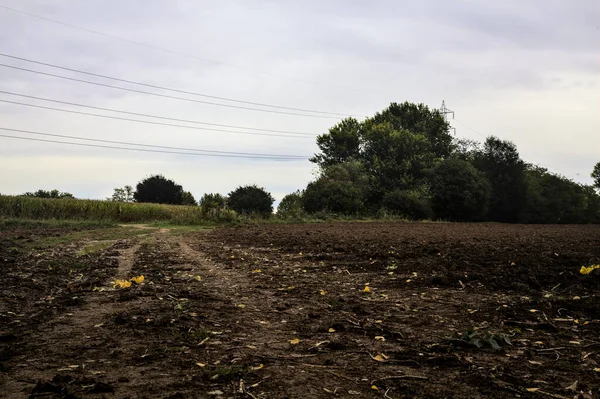 Muddy Road Con Charco Cielo Fundido — Foto de Stock