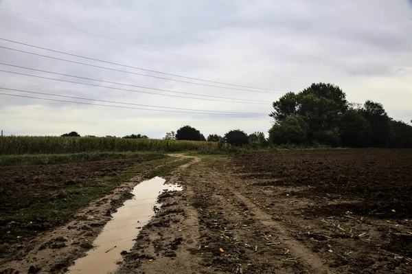 Muddy Road Con Charco Cielo Fundido — Foto de Stock