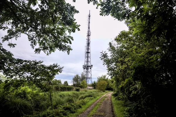 Muddy Road Grove Countryside Cloudy Day Autumn — Stock fotografie