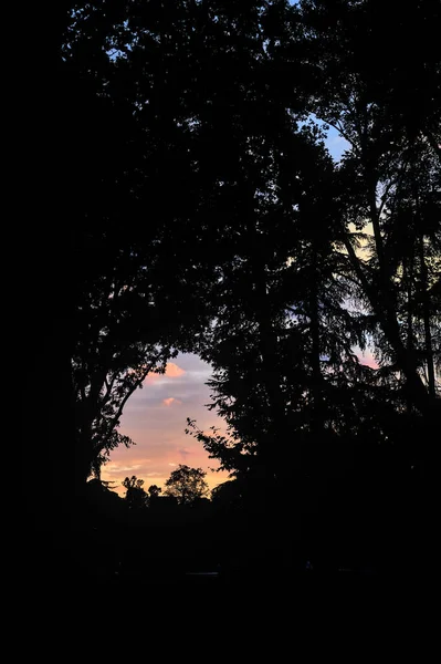 木々に囲まれた秋の湖の上の夕日 — ストック写真