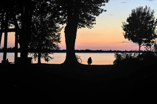 Silueta Hombre Sentado Junto Los Árboles Orilla Lago Atardecer —  Fotos de Stock