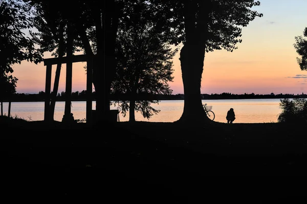 Silhouette Man Sitting Next Trees Shore Lake Sunset — Stock Photo, Image