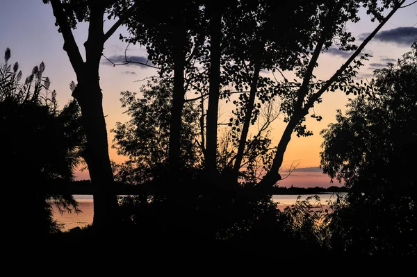 Solnedgång Över Sjö Hösten Inramad Träd — Stockfoto