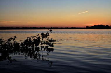 Sonbaharda gün batımında bir gölde yüzen bir dal.